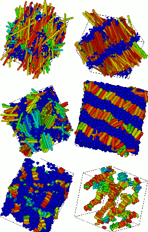 Pictures of Mesophases formed by multiblock copolymers composed of rod and coil segments